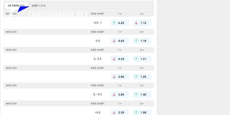 Nhận Định Elversberg vs Leverkusen 20h30 29/08 Bundesliga 4 Phân tích nhận định kèo trận đấu Elversberg vs Leverkusen