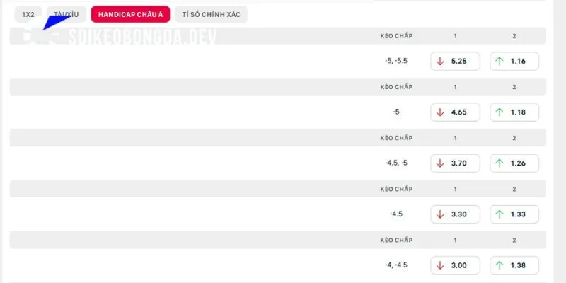 Soi Kèo Bayern Munich vs Union Berlin 01h30 19/9 Bundesliga 4 Phân tích chi tiết kèo chuẩn trận Bayern Munich vs Union Berlin