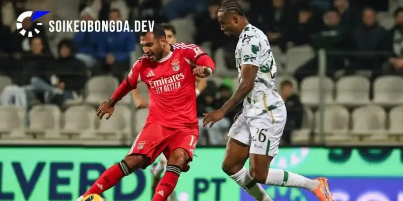 Nhận Định Kèo Moreirense vs Benfica 02h45 10/09 Liga Portugal 2 Đánh giá điểm tựa và phong độ hiện tại của Moreirense vs Benfica