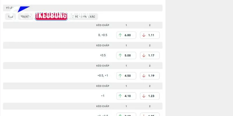 Nhận Định Kèo Moreirense vs Benfica 02h45 10/09 Liga Portugal 4 Phân tích chuyên sâu các tỷ lệ kèo Moreirense vs Benfica